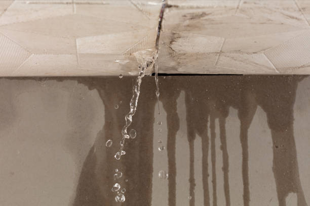 Professional Structural Drying technician working in East Troy, WI